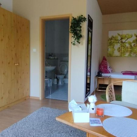 شقة Doppelzimmer An Der Lahn Ohne Kueche Obernhof المظهر الخارجي الصورة